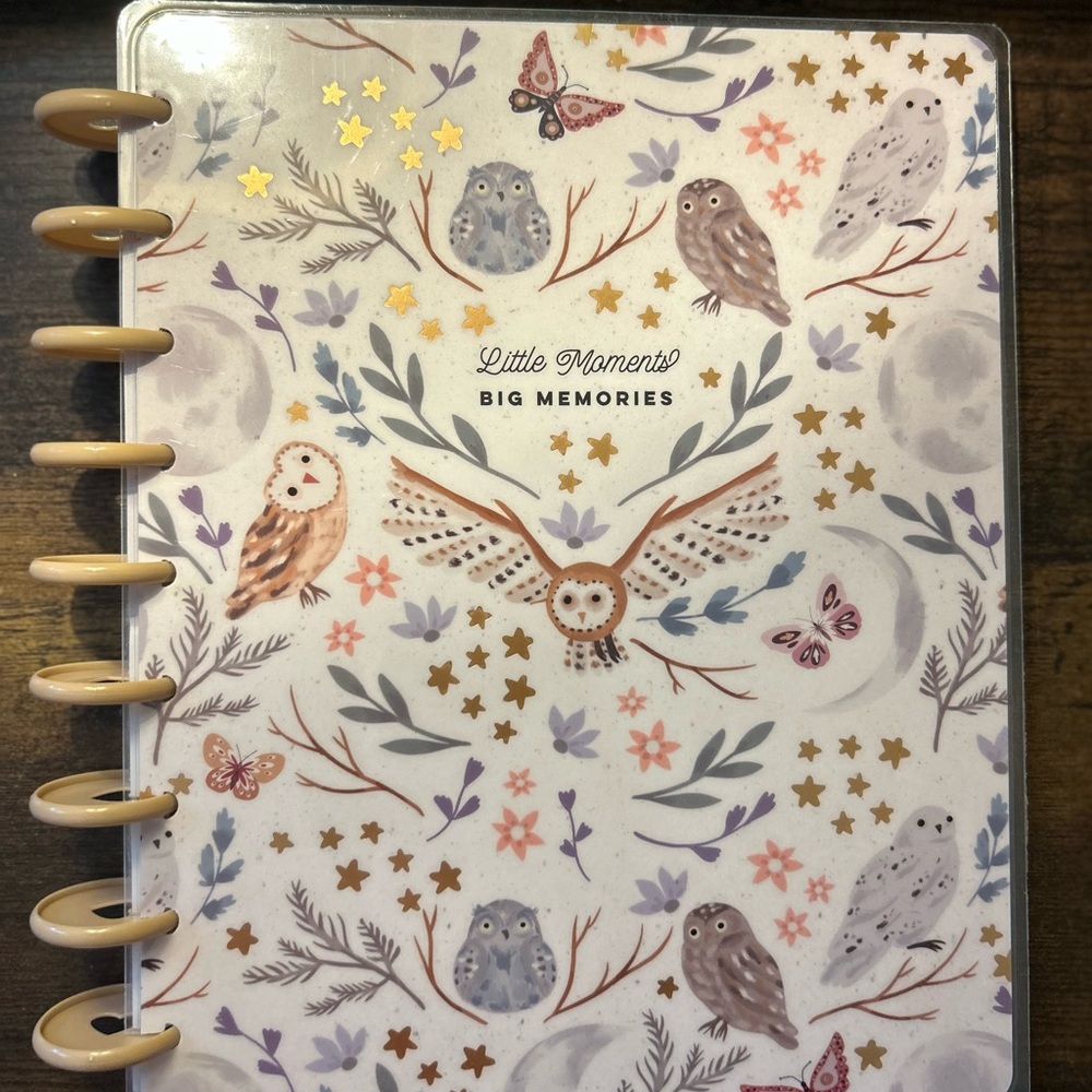 Happy Planner UNDATED Little Love Baby Classic Baby First Year Layout